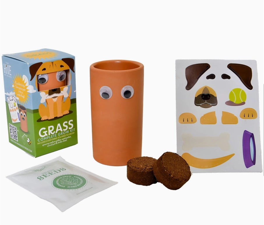 DIY Puppy Grow Kit - Ryegrass Exclusive - Hello Baby Apparel