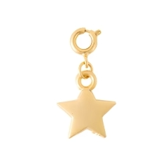 The Crowns Bespoke Jewelry Charm - Gold Star - Hello Baby Apparel