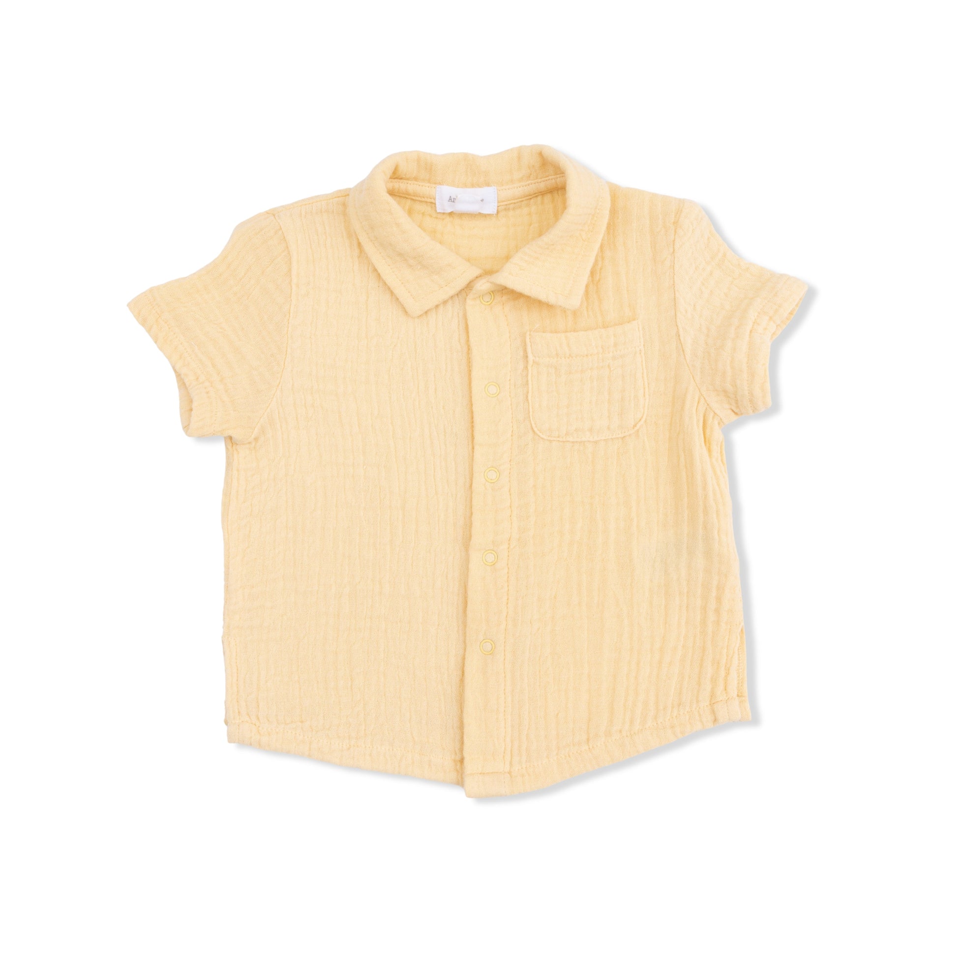 Micro Gingham Blue Blizzard - Polo Button Up with Casual Short - Hello Baby Apparel