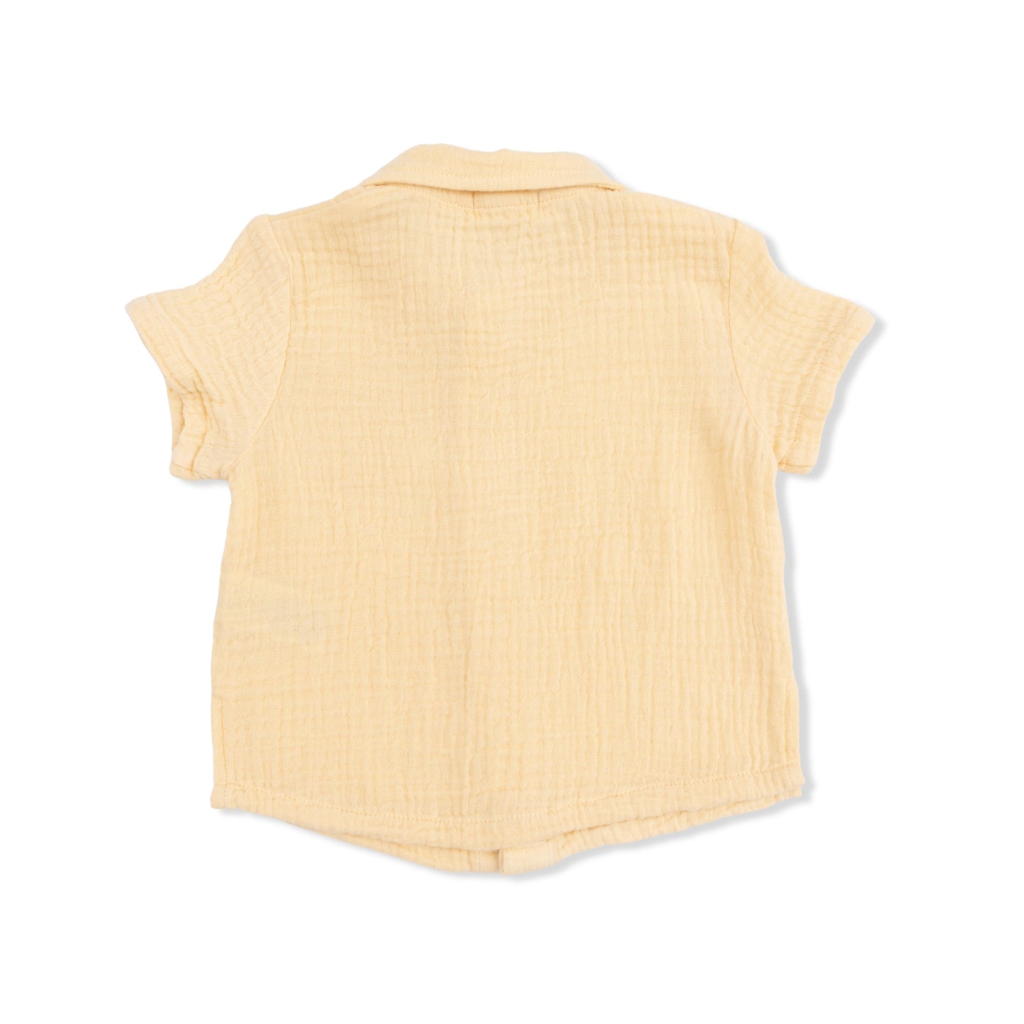 Micro Gingham Blue Blizzard - Polo Button Up with Casual Short - Hello Baby Apparel