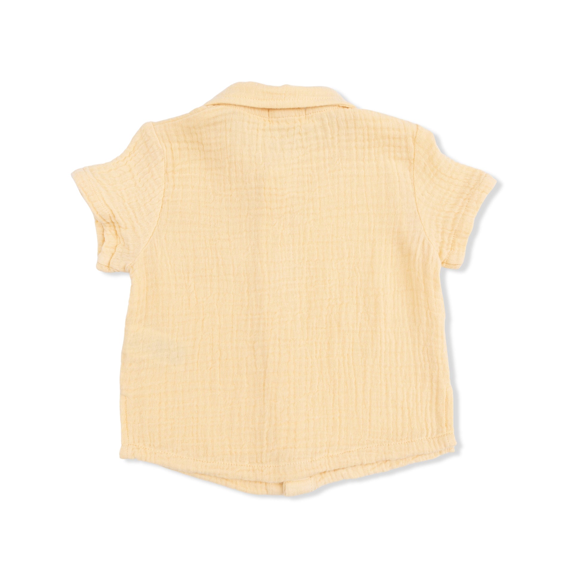Micro Gingham Blue Blizzard - Polo Button Up with Casual Short - Hello Baby Apparel